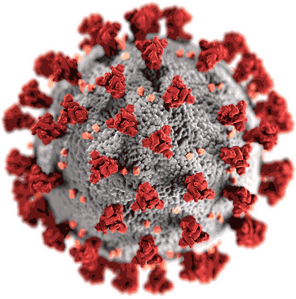 Coronavirus image by U.S. CDC